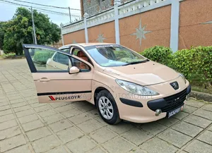 Peugeot 307 2010 Autre