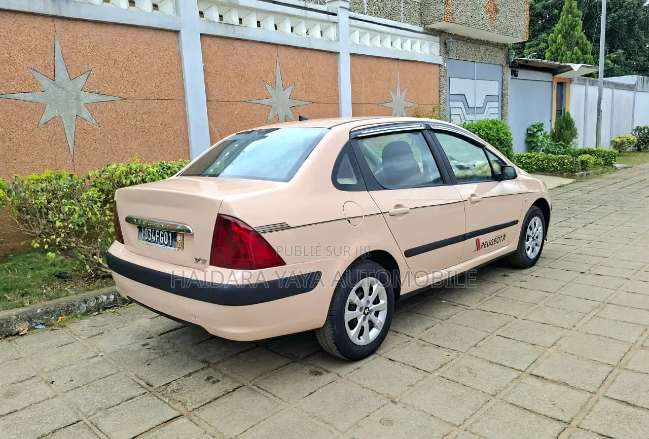 Peugeot 307 2010 Autre