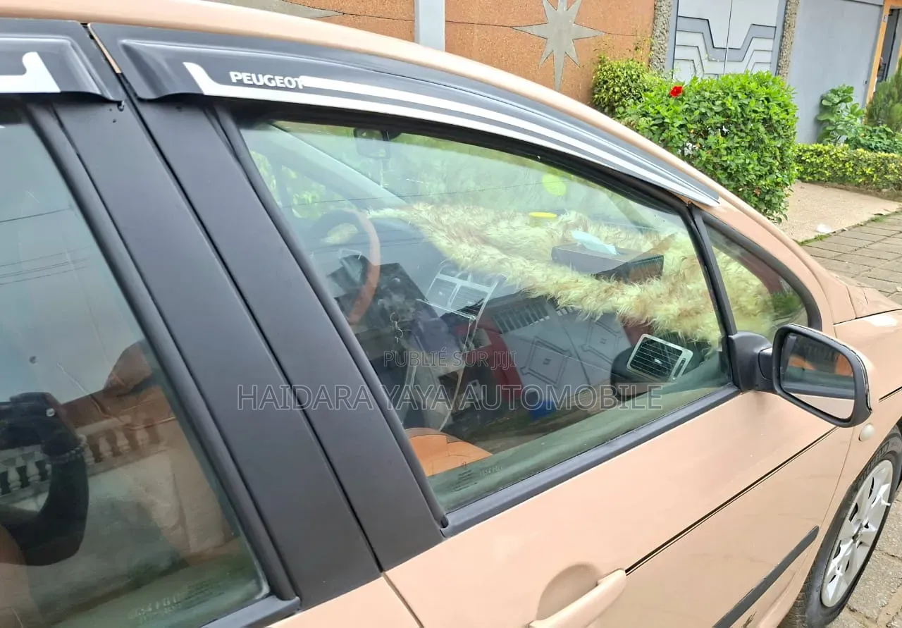 Peugeot 307 2010 Autre