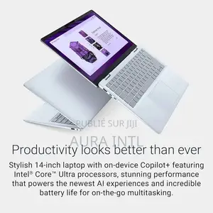 Nouveau Dell Pro Plus 14 32GB Intel Core Ultra 9 SSD 1T