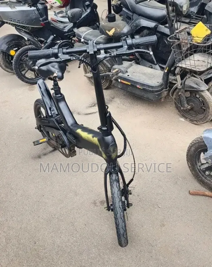 Vélo Électrique