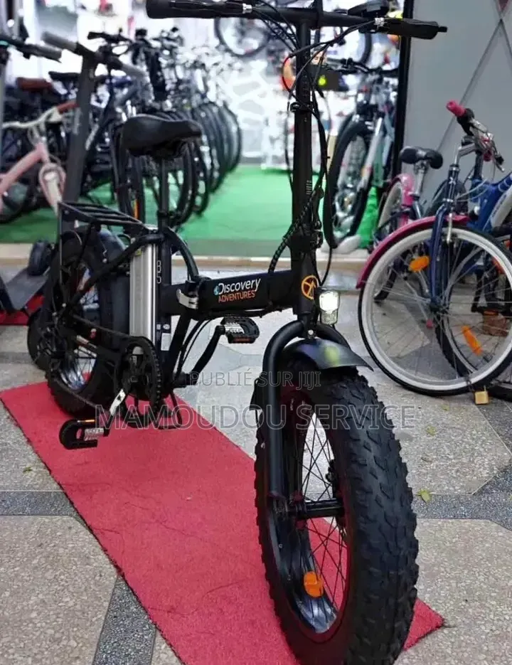 Vélo Électrique