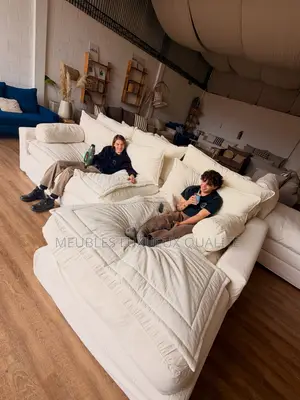 Fauteuil Luxueux