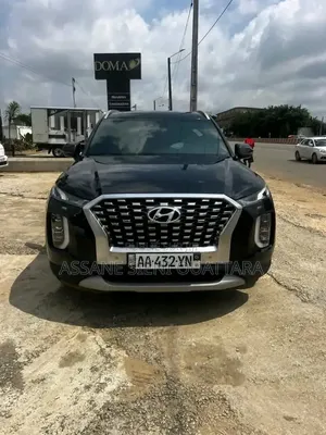 Hyundai Palissade 2020 Autre