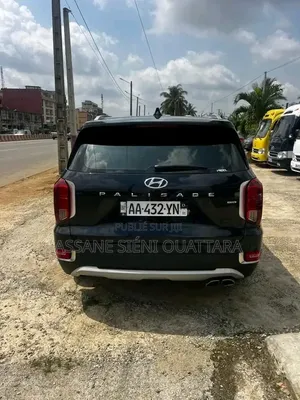 Hyundai Palissade 2020 Autre