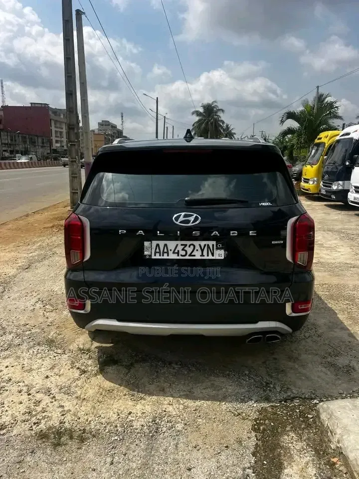 Hyundai Palissade 2020 Autre