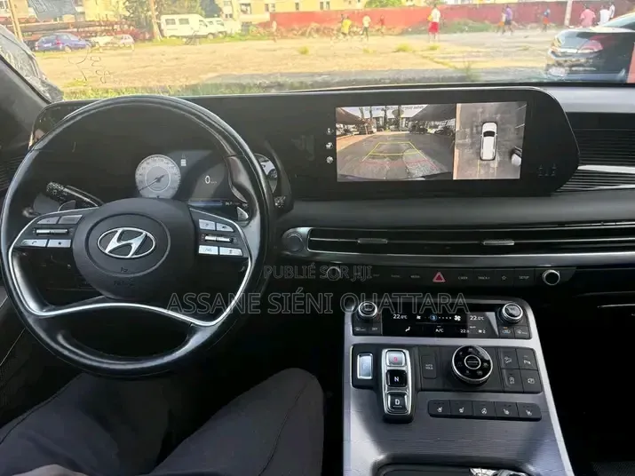 Hyundai Palissade 2020 Autre