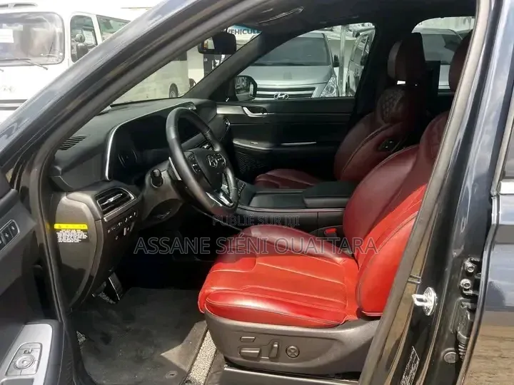 Hyundai Palissade 2020 Autre