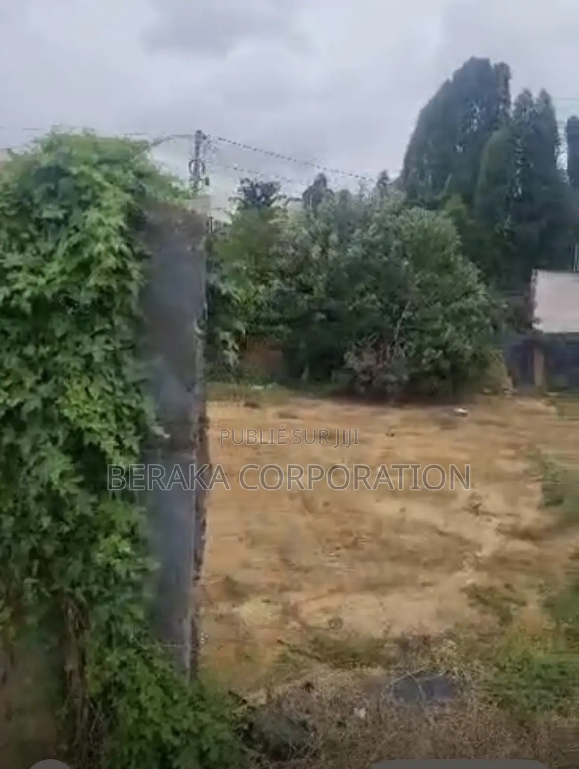 🏡 TERRAIN À VENDRE – MBADON 📍 Voie Principale, À 100 M De L’Ambassad