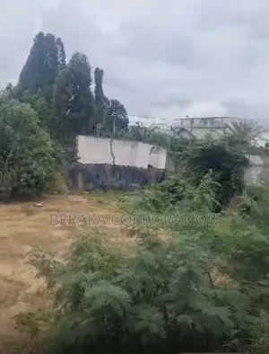 🏡 TERRAIN À VENDRE – MBADON 📍 Voie Principale, À 100 M De L’Ambassad
