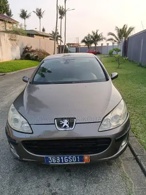 Peugeot 407 2004 Gris