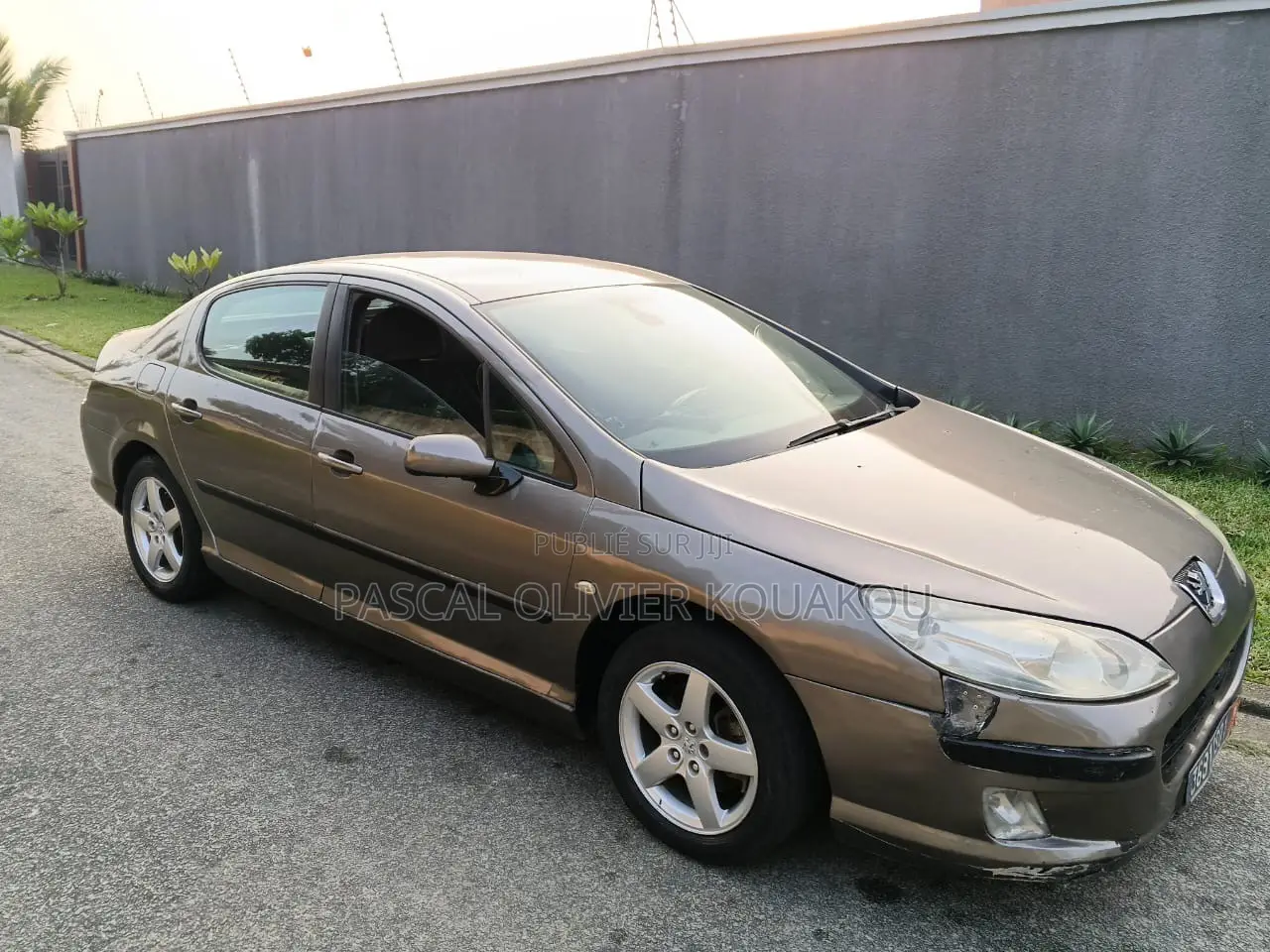Peugeot 407 2004 Gris