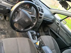 Peugeot 407 2004 Gris