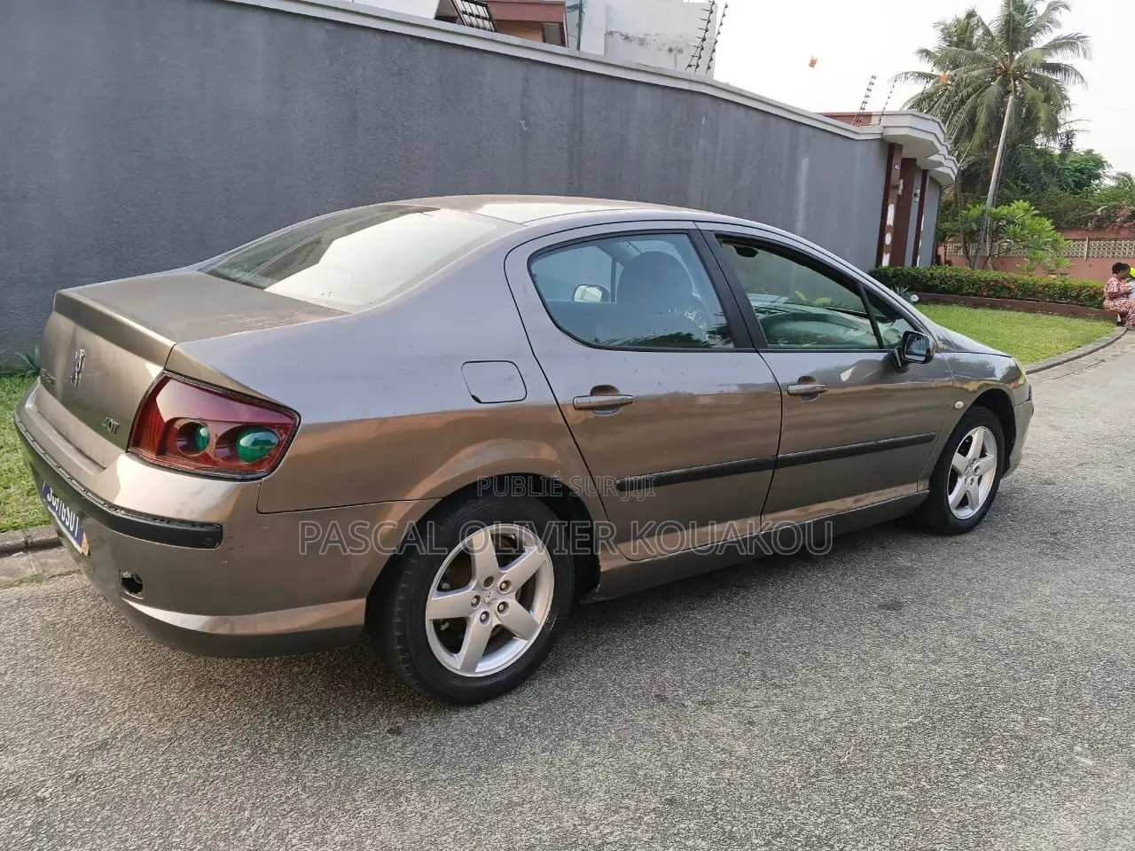 Peugeot 407 2004 Gris