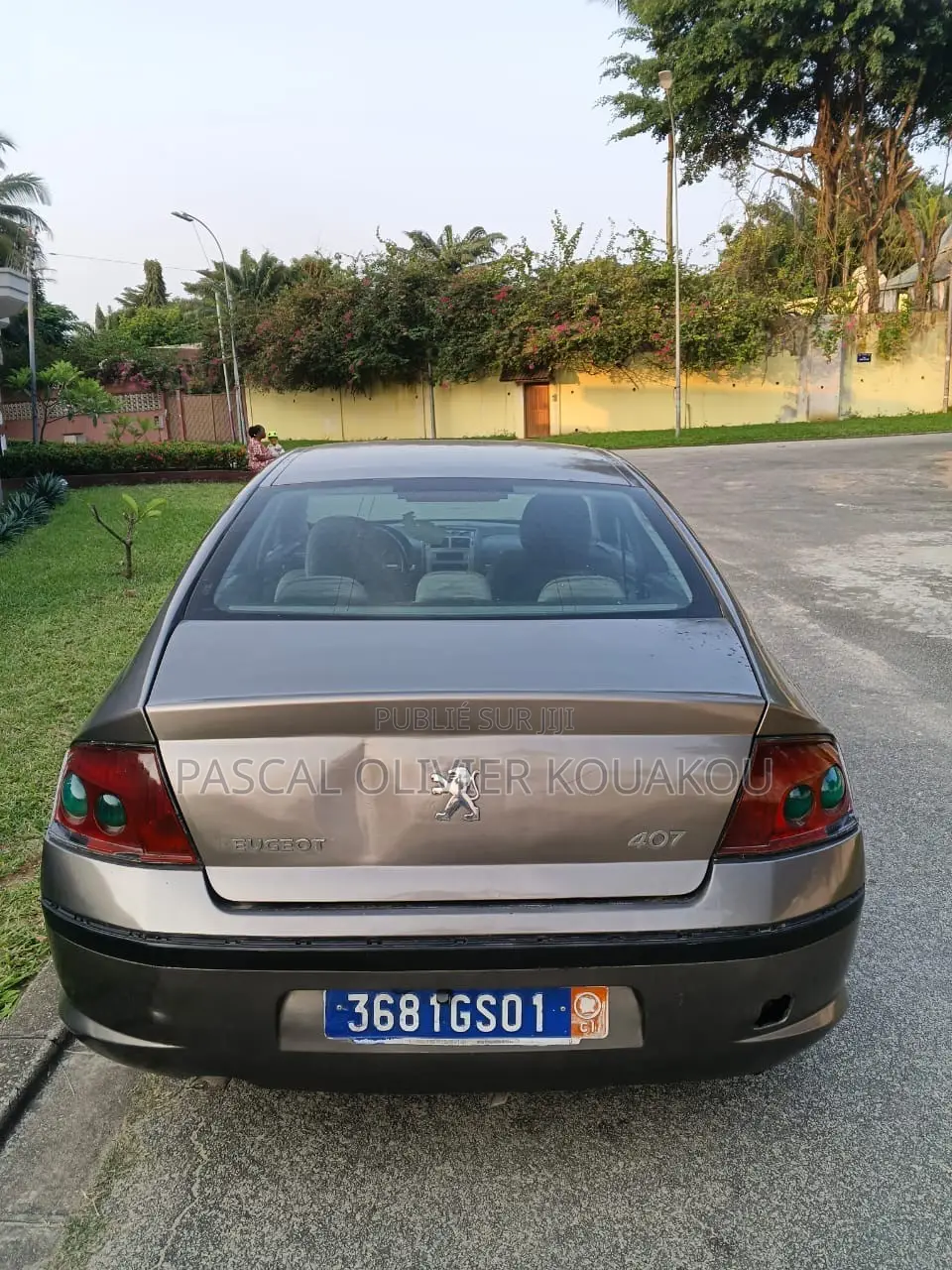 Peugeot 407 2004 Gris