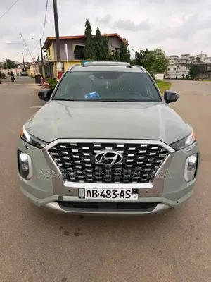 Hyundai Palissade 2020 Autre