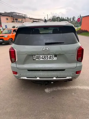 Hyundai Palissade 2020 Autre