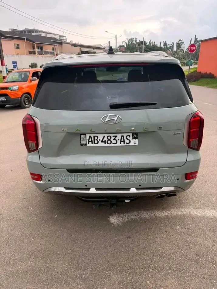 Hyundai Palissade 2020 Autre