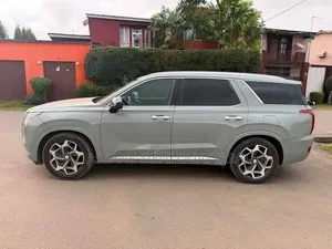 Hyundai Palissade 2020 Autre