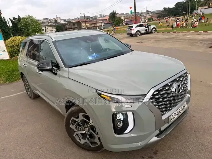Hyundai Palissade 2020 Autre