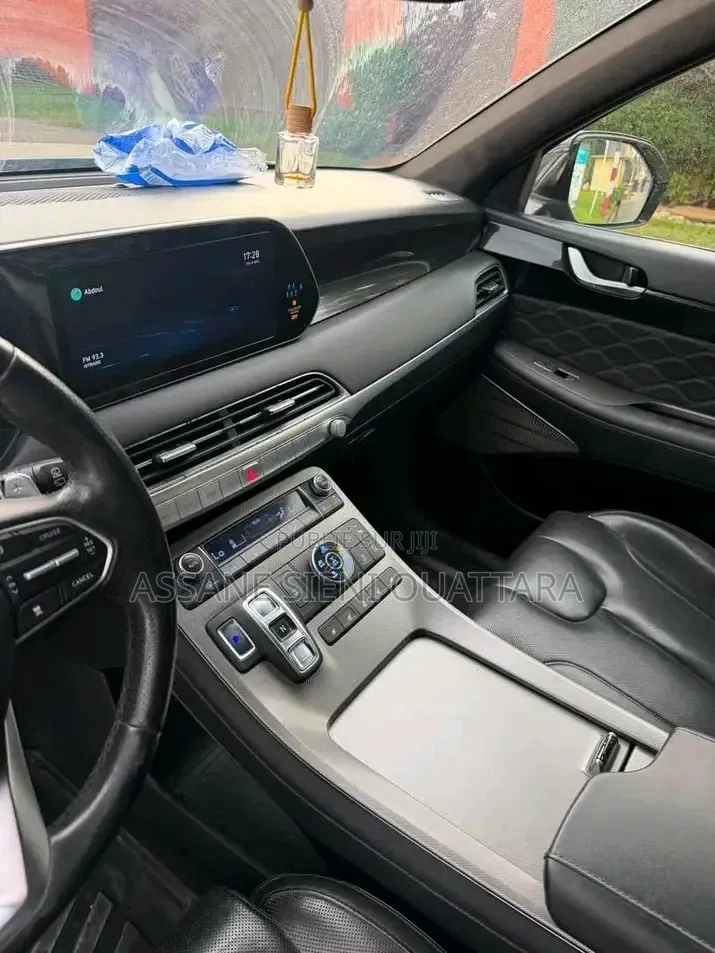 Hyundai Palissade 2020 Autre