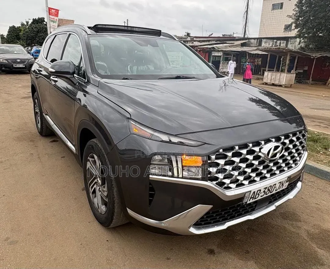Hyundai Santa Fe 2022 Noir
