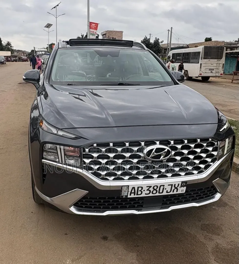 Hyundai Santa Fe 2022 Noir