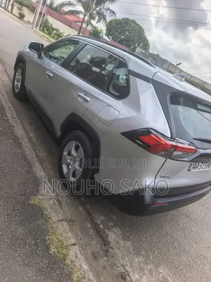 Toyota RAV4 2022 Gris