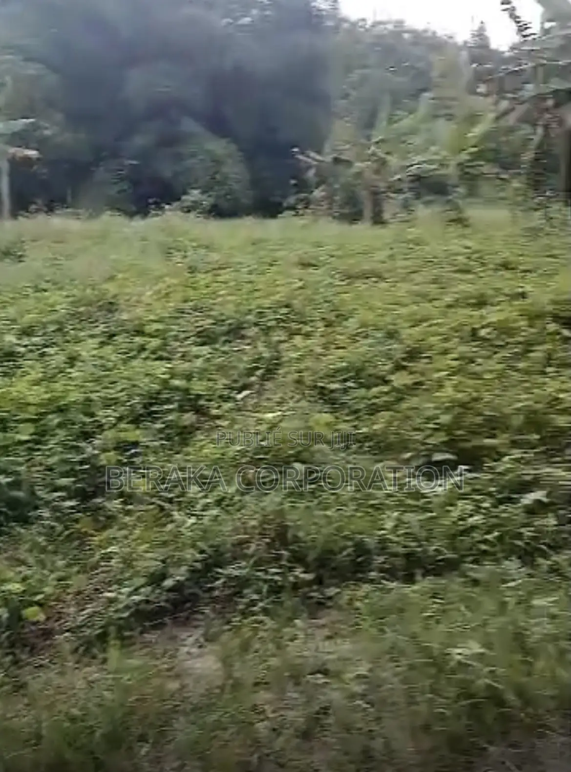 🚨 *LIQUIDATION À AZAGUIÉ N’BROMÉ !*  📐 *Terrain 400 M2* 📄