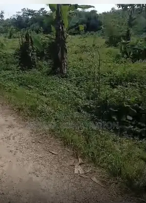 🚨 *LIQUIDATION À AZAGUIÉ N’BROMÉ !*  📐 *Terrain 400 M2* 📄