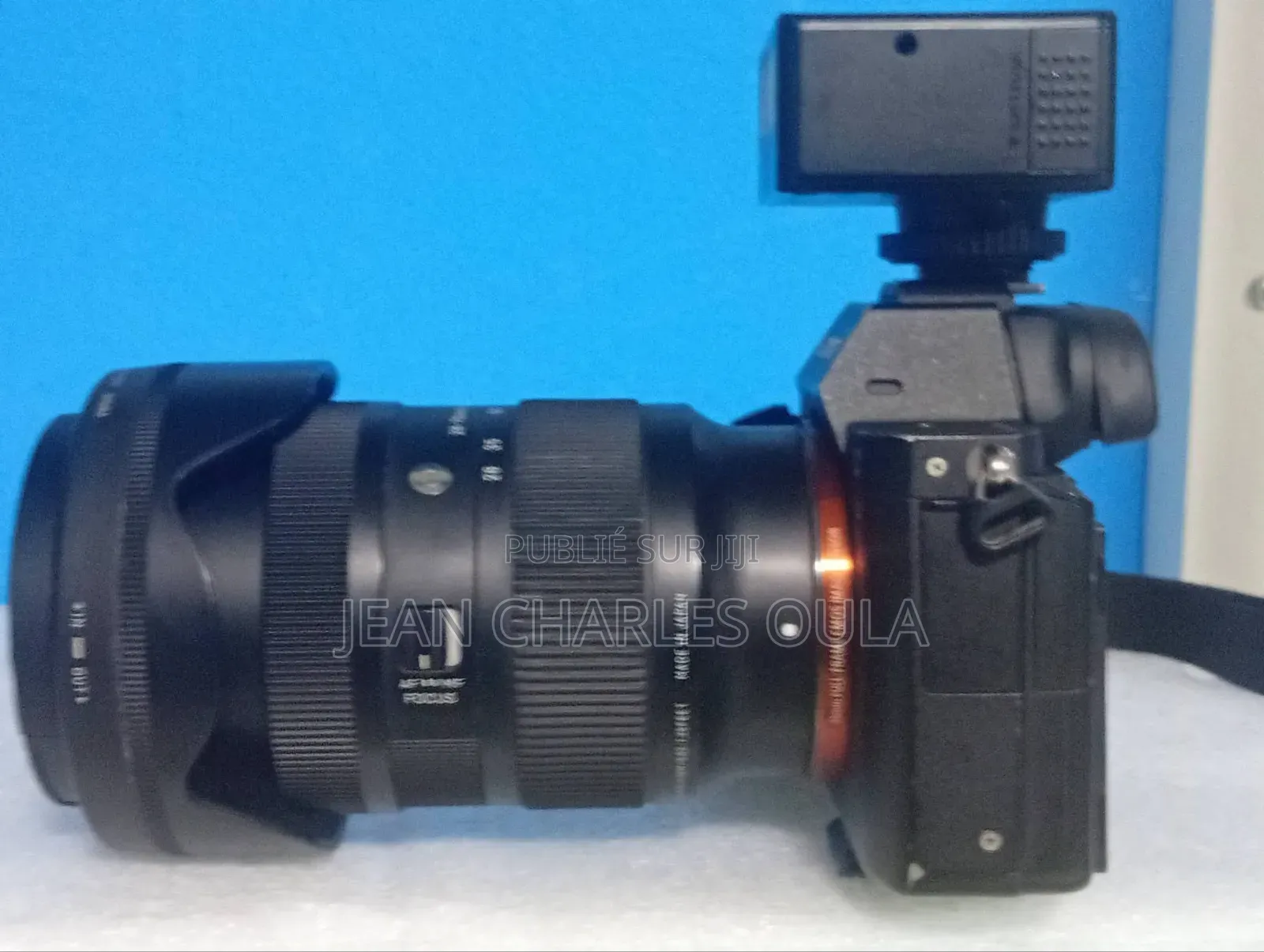 Sony Alpha A7 Il + Sigma 28-70mm DG DN F2.8