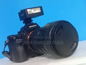 Sony Alpha A7 Il + Sigma 28-70mm DG DN F2.8