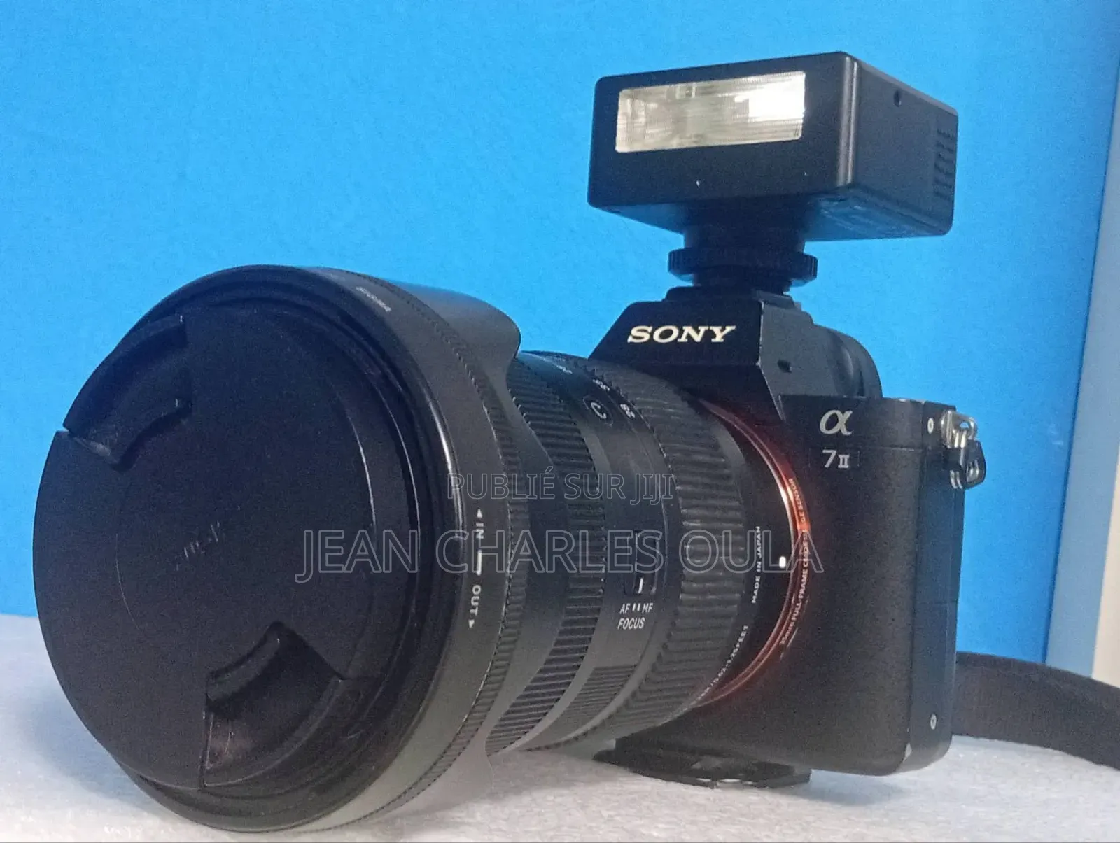 Sony Alpha A7 Il + Sigma 28-70mm DG DN F2.8