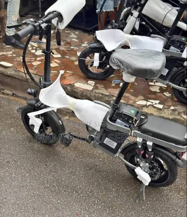 Vélo Électrique