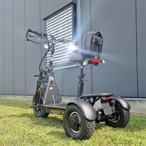 Trottinettes Électriques