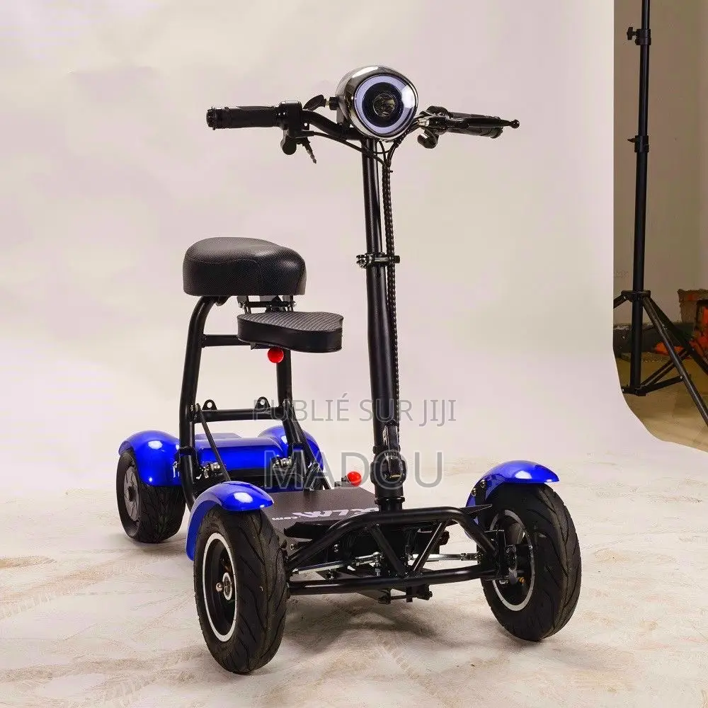 Trottinettes Électriques