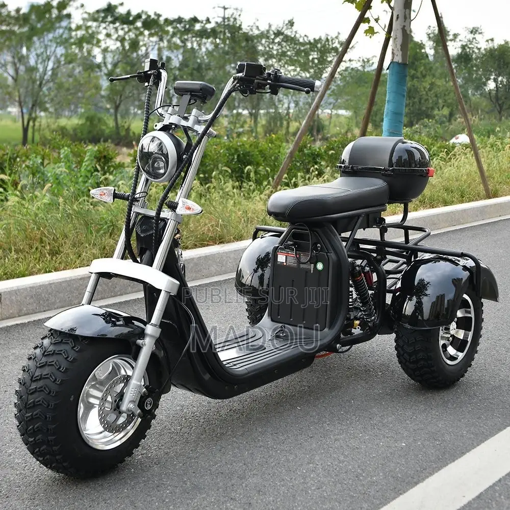 Trottinettes Électriques