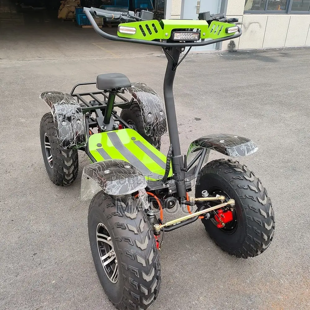 Trottinettes Électriques