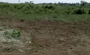 Terrain Assouindé