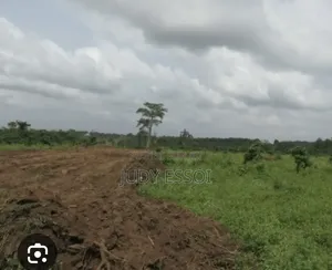 Terrain Assouindé