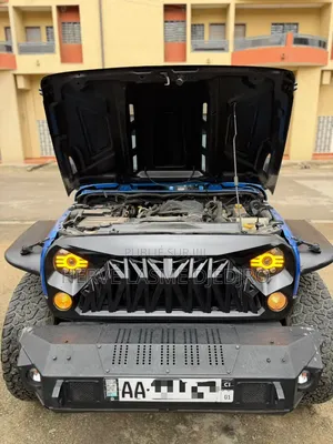 Jeep Wrangler 2017 Bleu