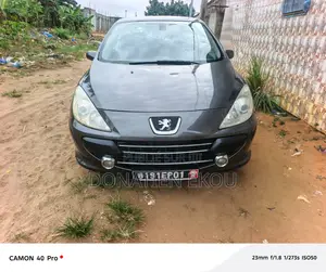 Peugeot 307 2005 Gris