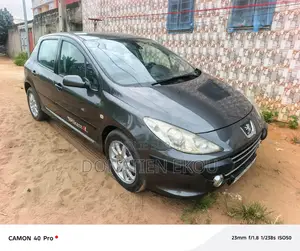 Peugeot 307 2005 Gris