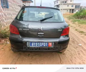 Peugeot 307 2005 Gris