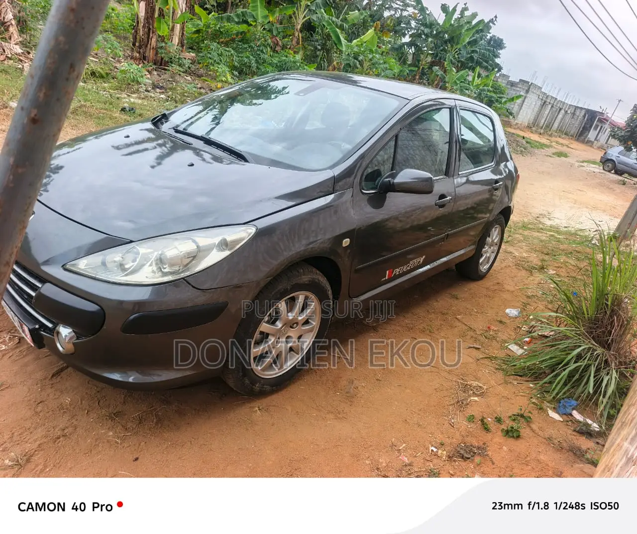 Peugeot 307 2005 Gris
