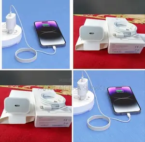 Chargeur iPhone