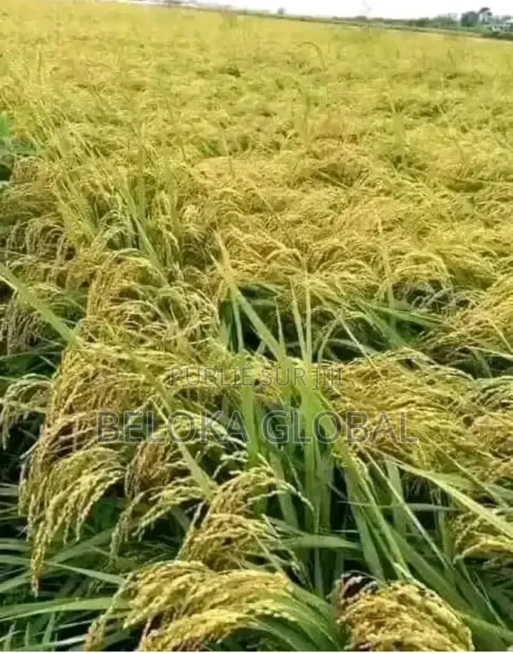 Super Gro Engrais Bio Et Vitamine