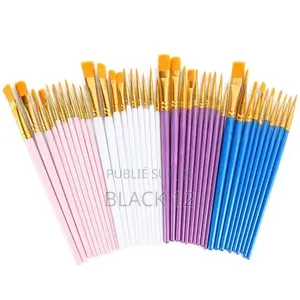 Pinceaux d'Artiste Lot De 12