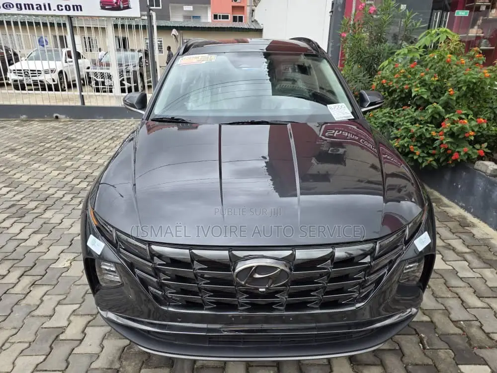 Hyundai Tucson 2021 Gris