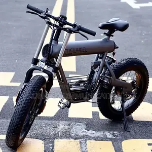 Vélo Électrique